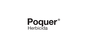 Poquer - 0